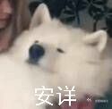 -金龙咖喱