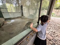 -合肥野生动物园