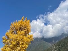 -冕宁灵山寺