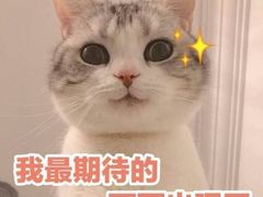 -秀丽东方