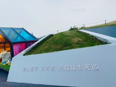 -荷兰花海