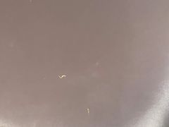 -季季红火锅(柳州广惠商业店)