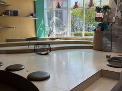 -飞行喵MR PILOT|猫舍·猫咖(静安大融城店)