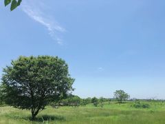 -杭州城北体育公园