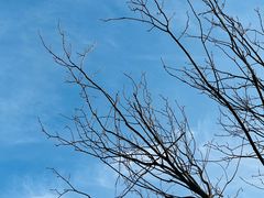 -天津东丽湖风景区