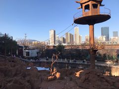 -昆明动物园