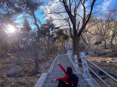 -崂山仰口游览区