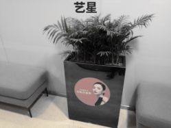 -Yestar杭州艺星医疗美容医院