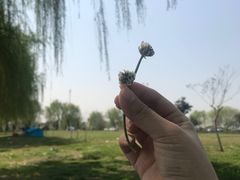 -漕湖湿地公园