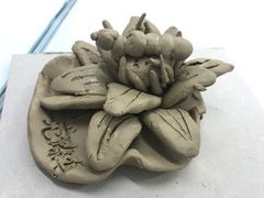 -学知乐教育·幼小衔接·小学科辅导(浦东外高桥森兰中心)