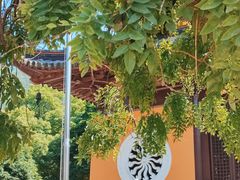 -宝岩生态观光园