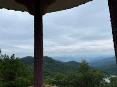 -广州白江湖森林公园