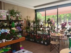 -新江湾城公园