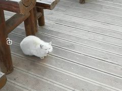 -波浪谷