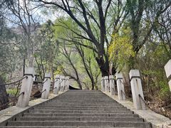 -北京凤凰岭