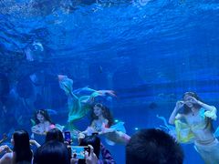 -华夏文旅西安度假区