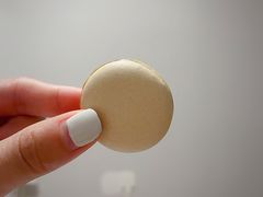 -BLACKSWAN黑天鹅(环球店)