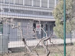 -日本大使馆-新闻文化中心