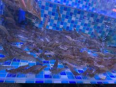 -世纪金源购物中心