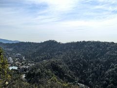 -桃花岭景区