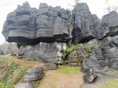 -梭布垭石林景区