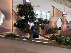 -马家斑.鲜鱼火锅(松湖万科店)