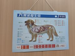 -米苏动物医院·犬猫专科·骨科外科内窥镜