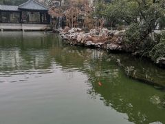 -苏苑饭店-中餐厅(长桥地区店)