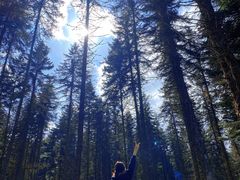 -硗碛藏寨·神木垒景区