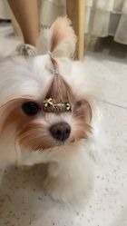 -木马王国(萧山银隆店)