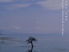 -大理洱海
