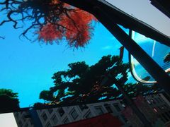 -万达广场(济南魏家庄店)
