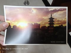 -美罗城