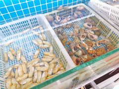 -富临港·蒸汽海鲜·手抓海鲜·炒菜(栈桥店)