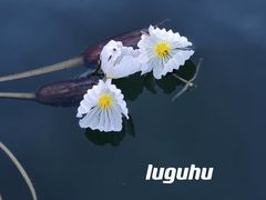 -丽江泸沽湖景区