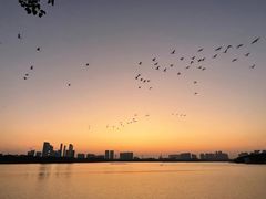 -顺峰山公园