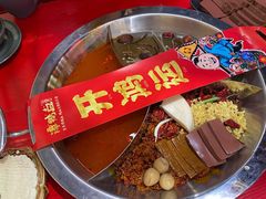 -谭鸭血老火锅(慈云寺店)