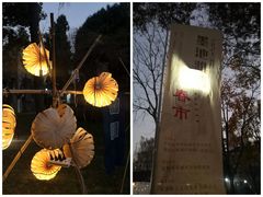 -墨池公园