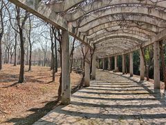 -上海海湾国家森林公园