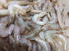 鲜虾-格瑞欧海鲜自助烤肉火锅(光彩店)