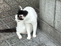 -老彬专工蚝烙糕粿