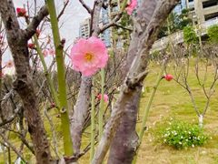 -旋木烘焙·生日蛋糕(梅林店)