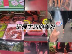 -东北农业大学