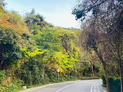 -梧桐山风景名胜区