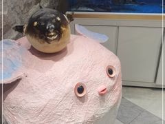 -鲐赏河豚(长寿店)
