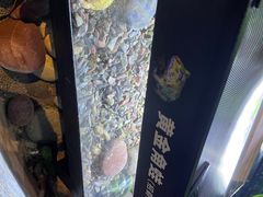 -重庆欢乐海底世界