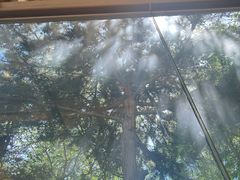 -金湖港式餐厅(建外店)