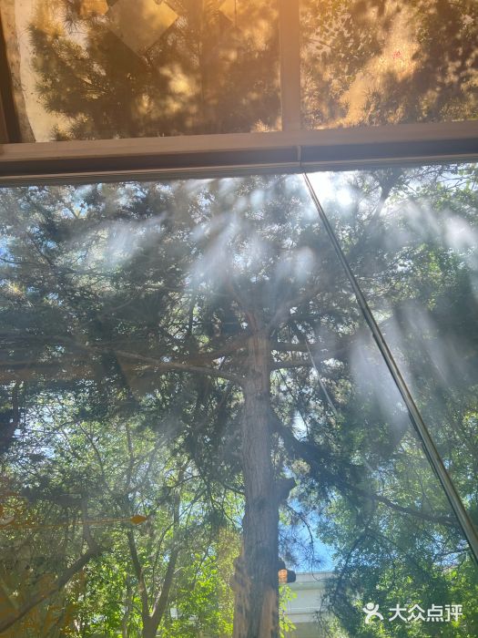 金湖港式餐厅(建外店)图片