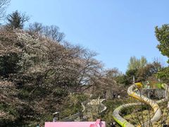 -杭州少年儿童公园