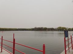 -北陵公园